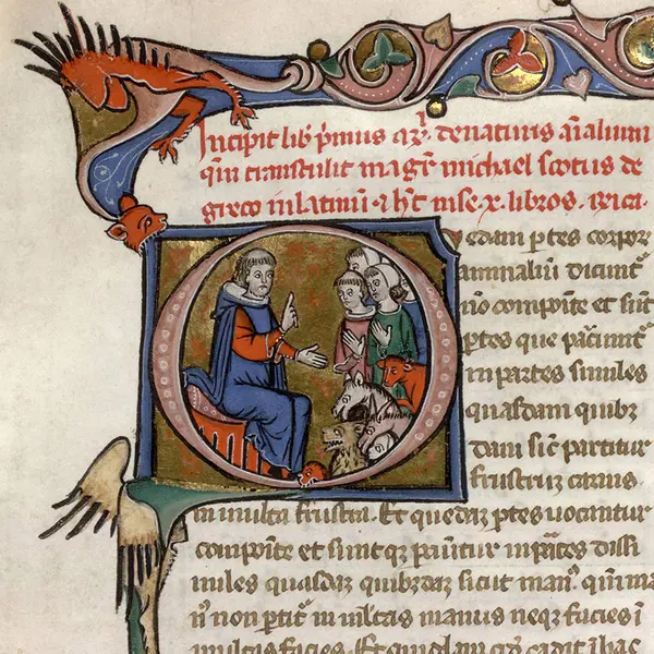 Page from a medieval manuscript with Latin writing and a drawing of an adult teaching children about animals.