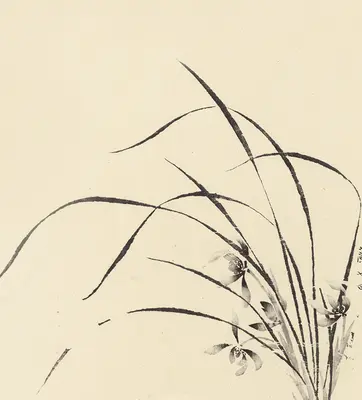 An ink brush painting of a blooming plant with long leaves.