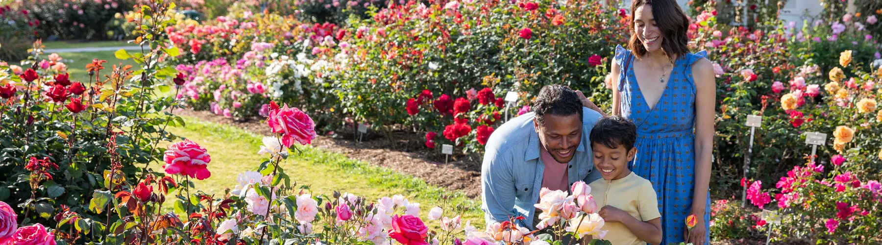 Parents stand with a child in the Rose Garden.
