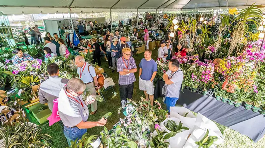 Attendants of the Orchid Show and Sale