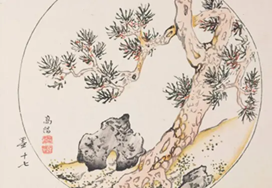 Ink and color on paper depicting a pine tree on a landscape.