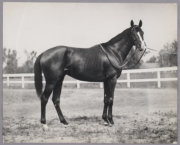 California Conquest