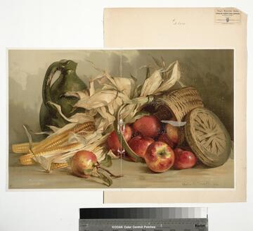 Indian corn and apples
