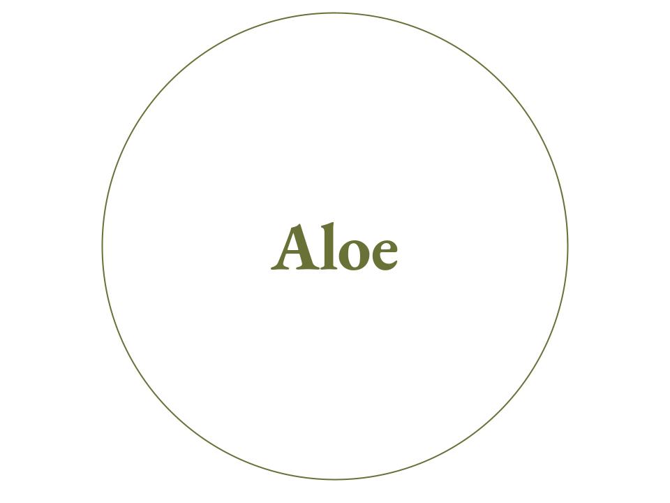 The text Aloe inside a white circle with a green outline.