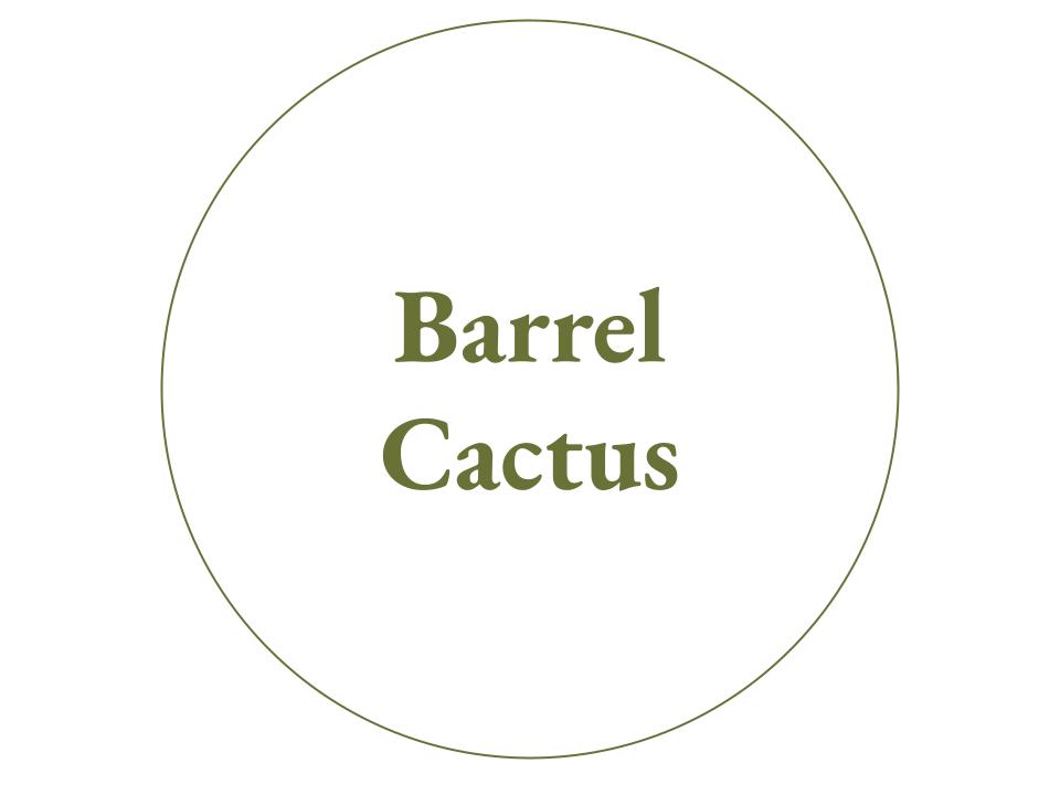 The text Barrel Cactus inside a white circle with a green outline