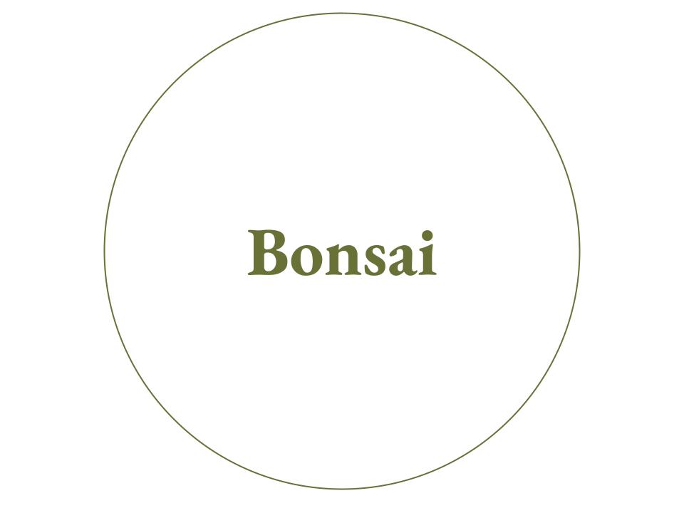 The text Bonsai inside a white circle with a green outline.