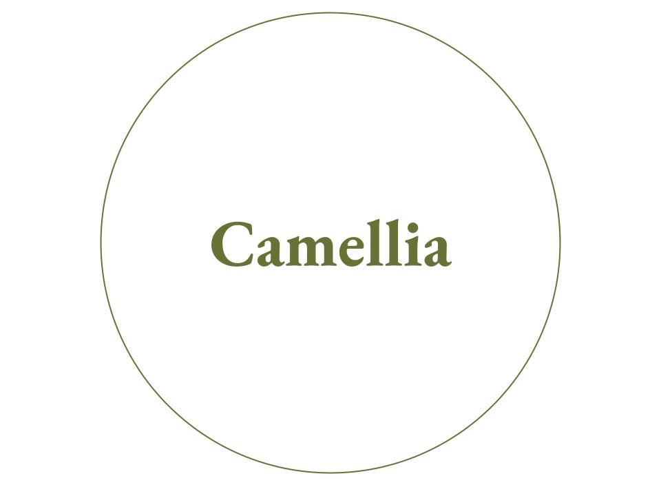 The text Camellia inside a white circle outlined in green.