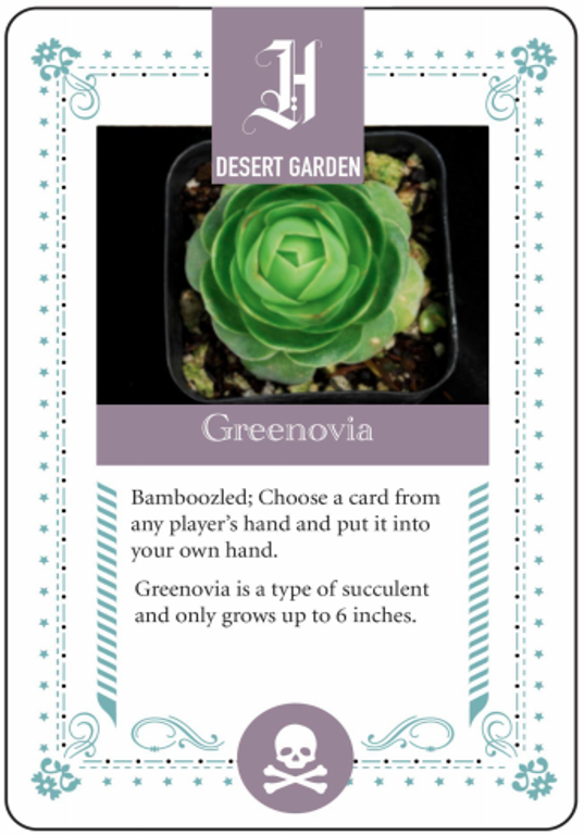 A playing card with an image of a green rosette-shaped succulent called "Greenovia"; when the player receives this card they can take any card from another player.