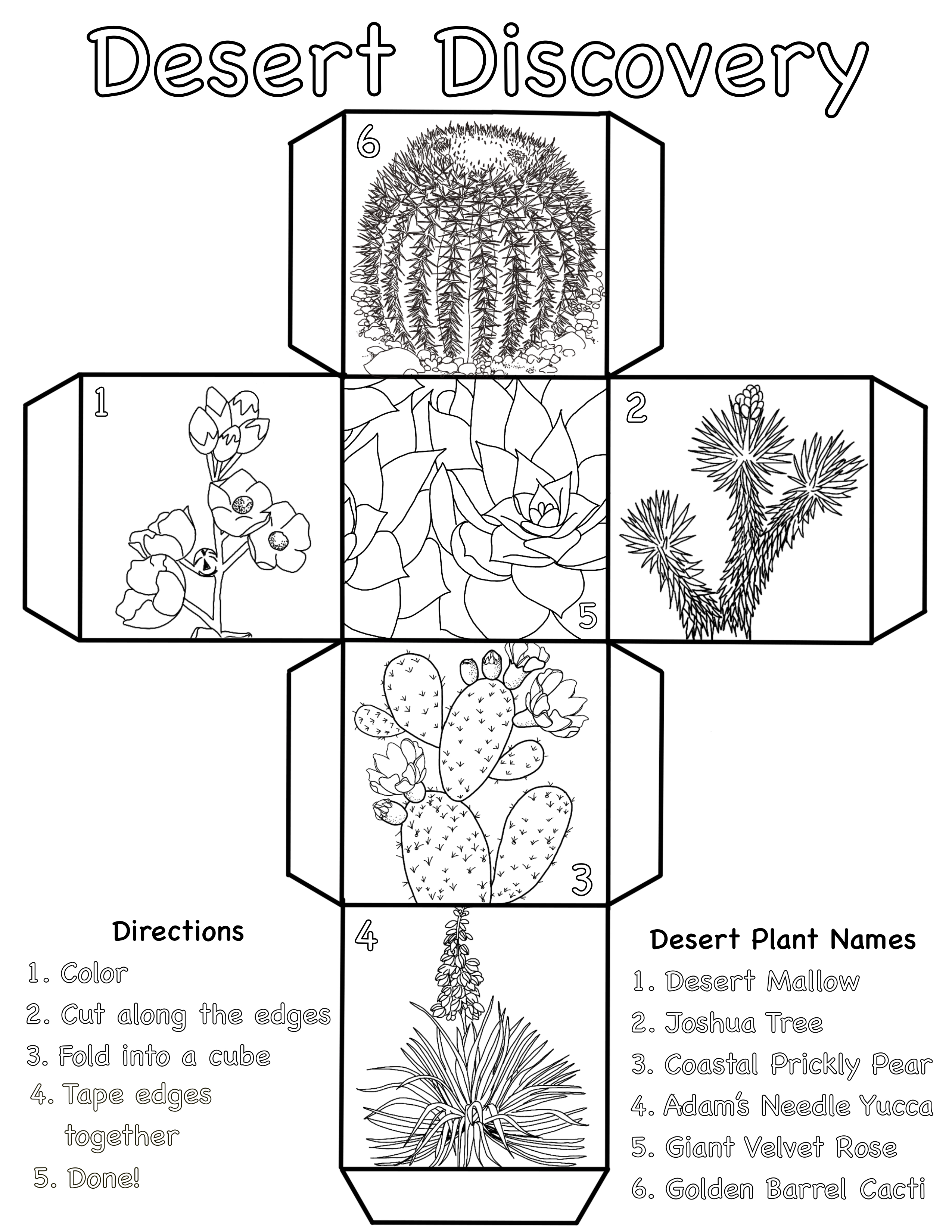 A drawing of desert plants arranged in small squares in the shape of a letter "t" with directions to color, cut out, fold, and tape the drawing print-out into a cube.