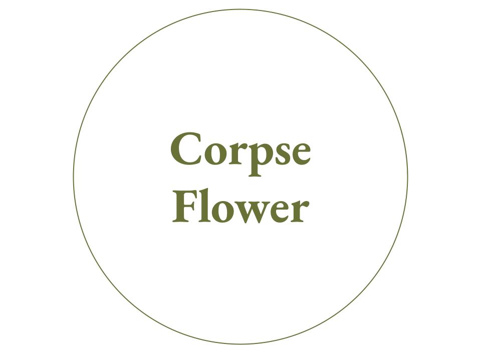 The text Corpse Flower inside a white circle outlined in green.