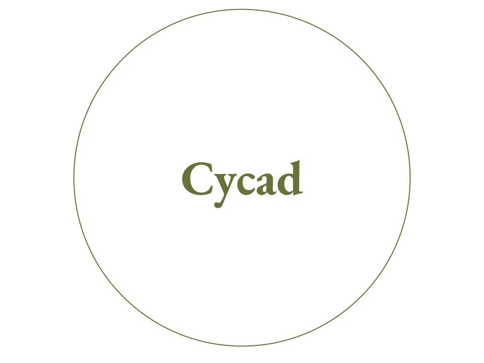 The text Cycad inside a white circle outlined in green.