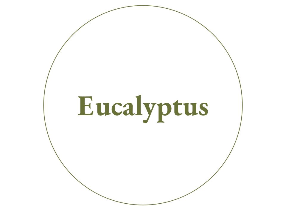 The text Eucalyptus inside a white circle with a green outline.