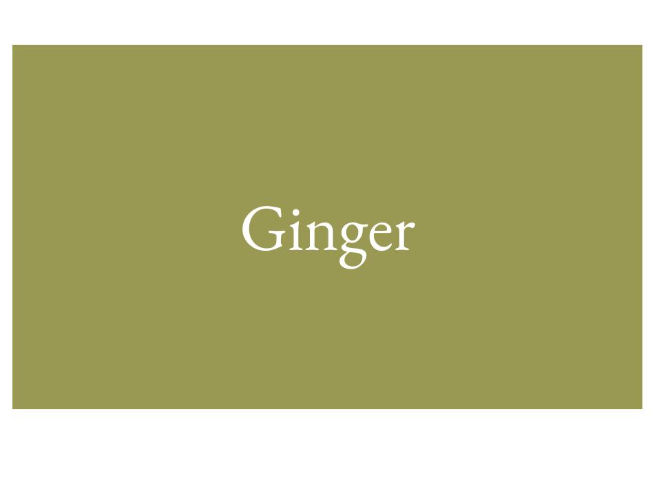 The text Ginger inside a green rectangle.