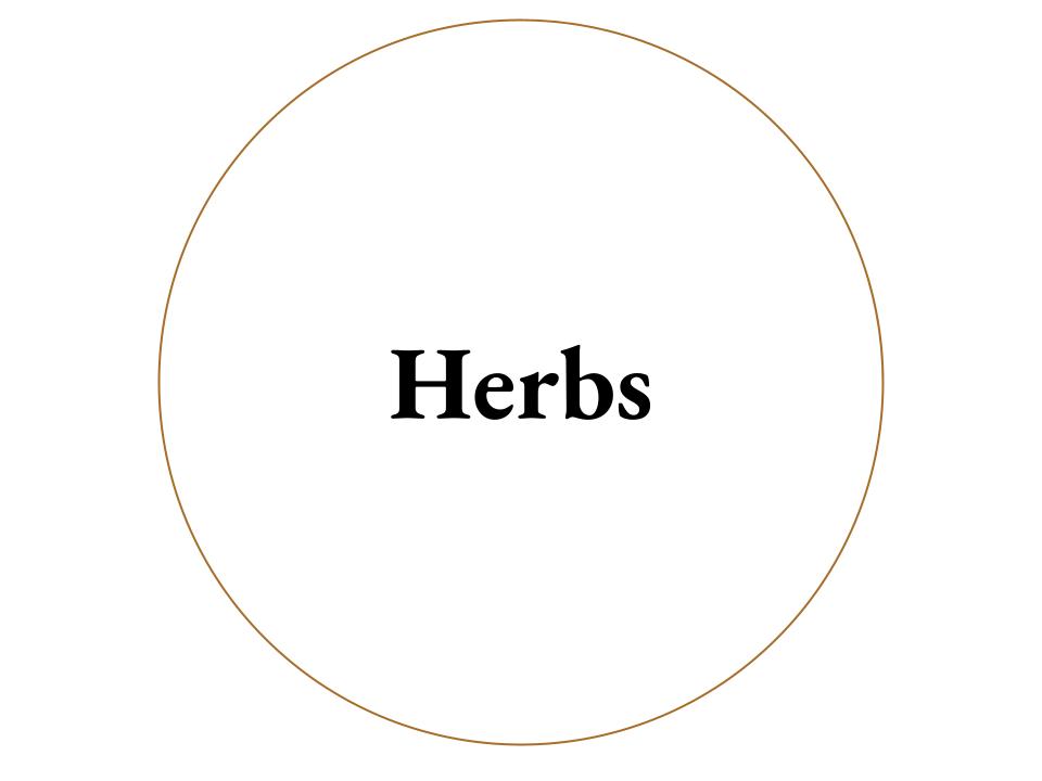 The text Herbs inside a white circle with a brown outline.