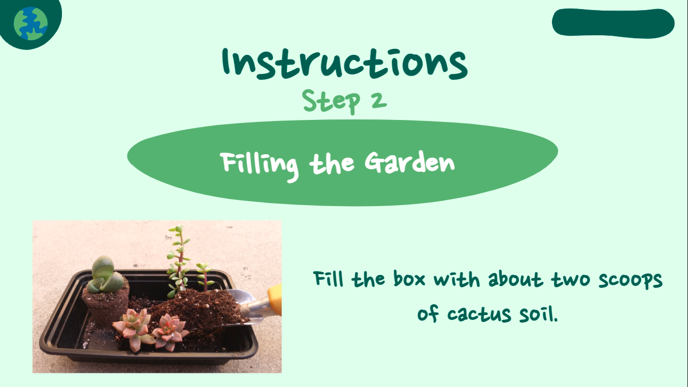 A light green slide shows an image of a spade pouring soil around succulents and reads "Instructions, Step 2, fill the box with cactus soil."