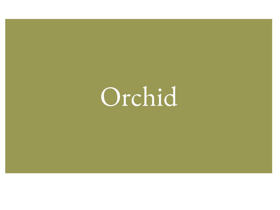 The text Orchid inside a green rectangle.