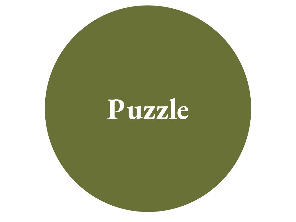 The text Puzzle inside a green circle.