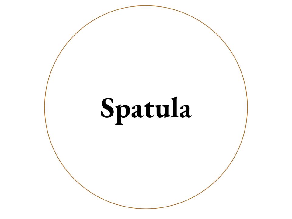 The text Spatula inside a white circle with a brown outline.