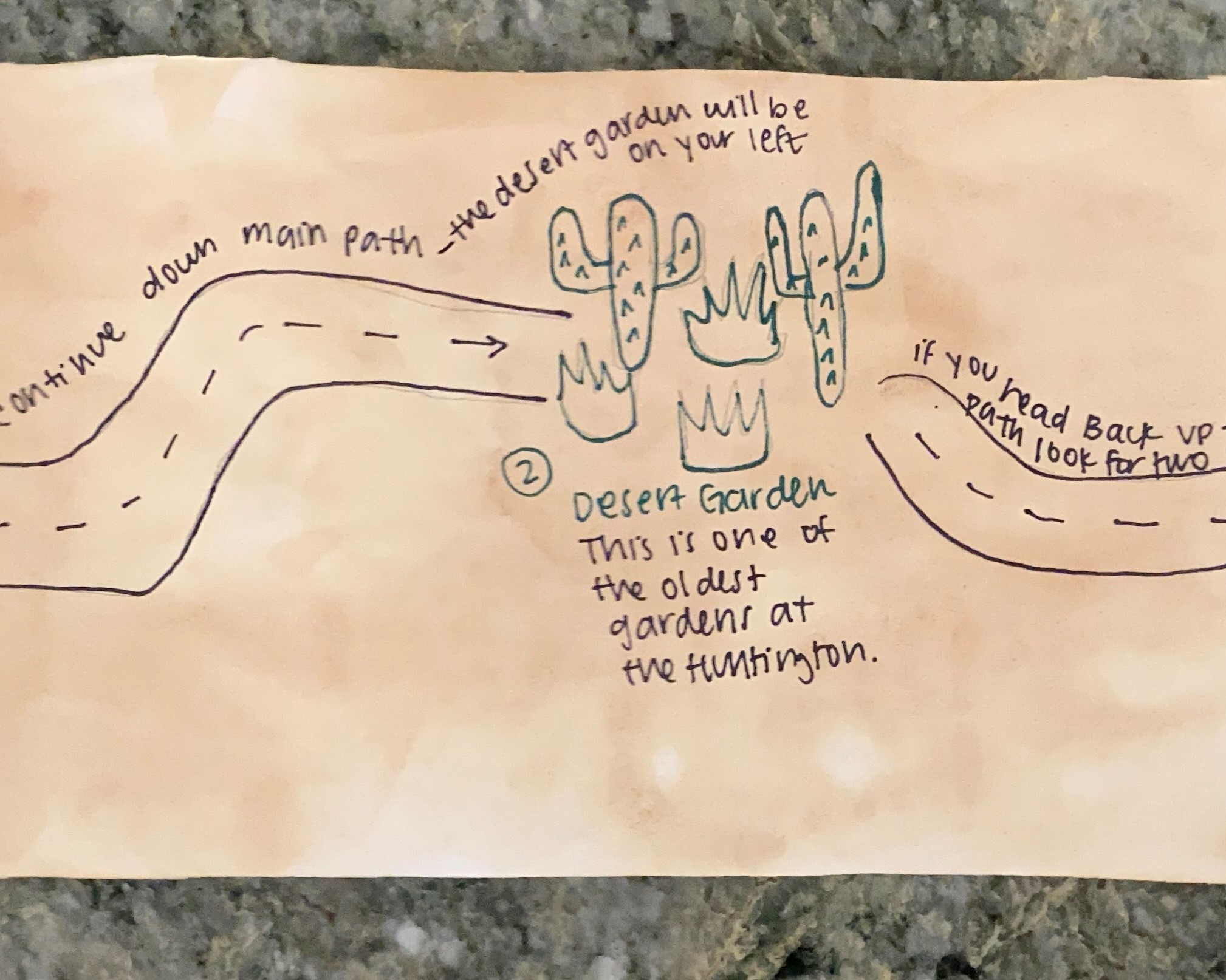 Hand-drawn map of the Huntington showing the path and directions to and from the Desert Garden.