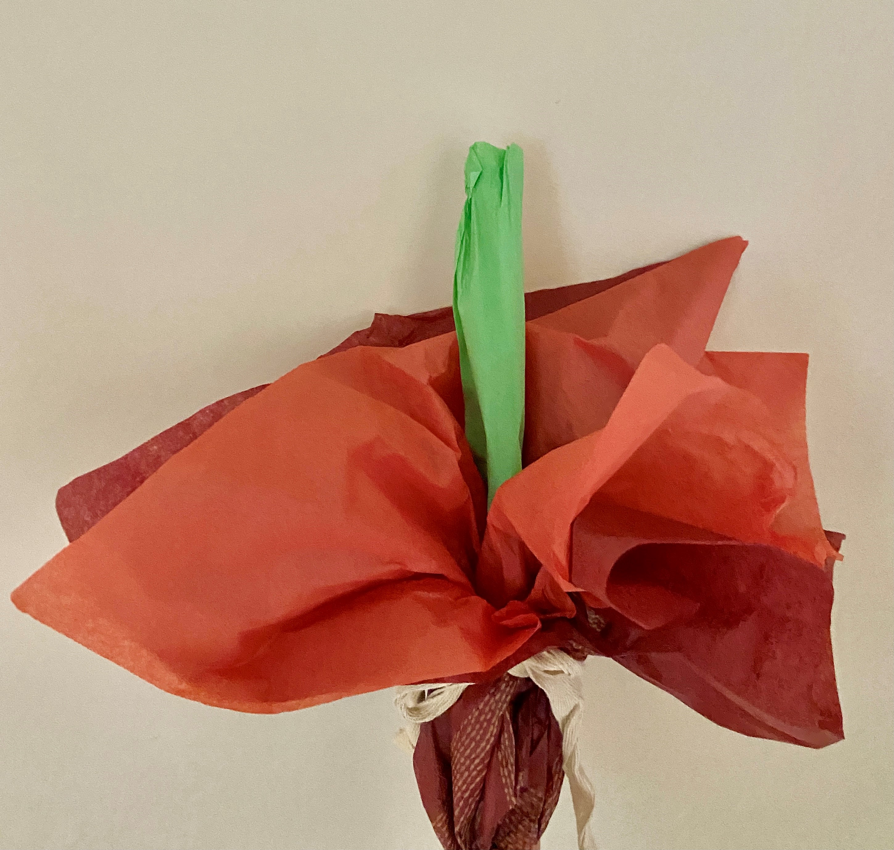 Orange and red tissue paper tied around a green tissue paper tube against a white wall.