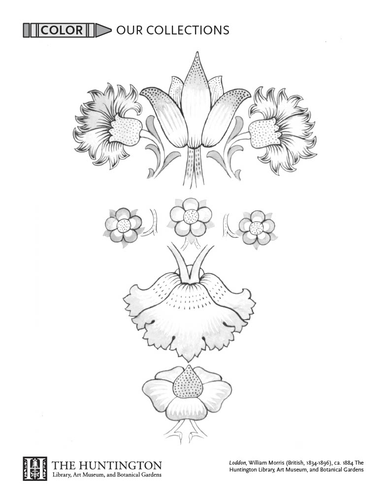 Coloring page of a separation drawing of four blossoms, including small daisies and carnations.