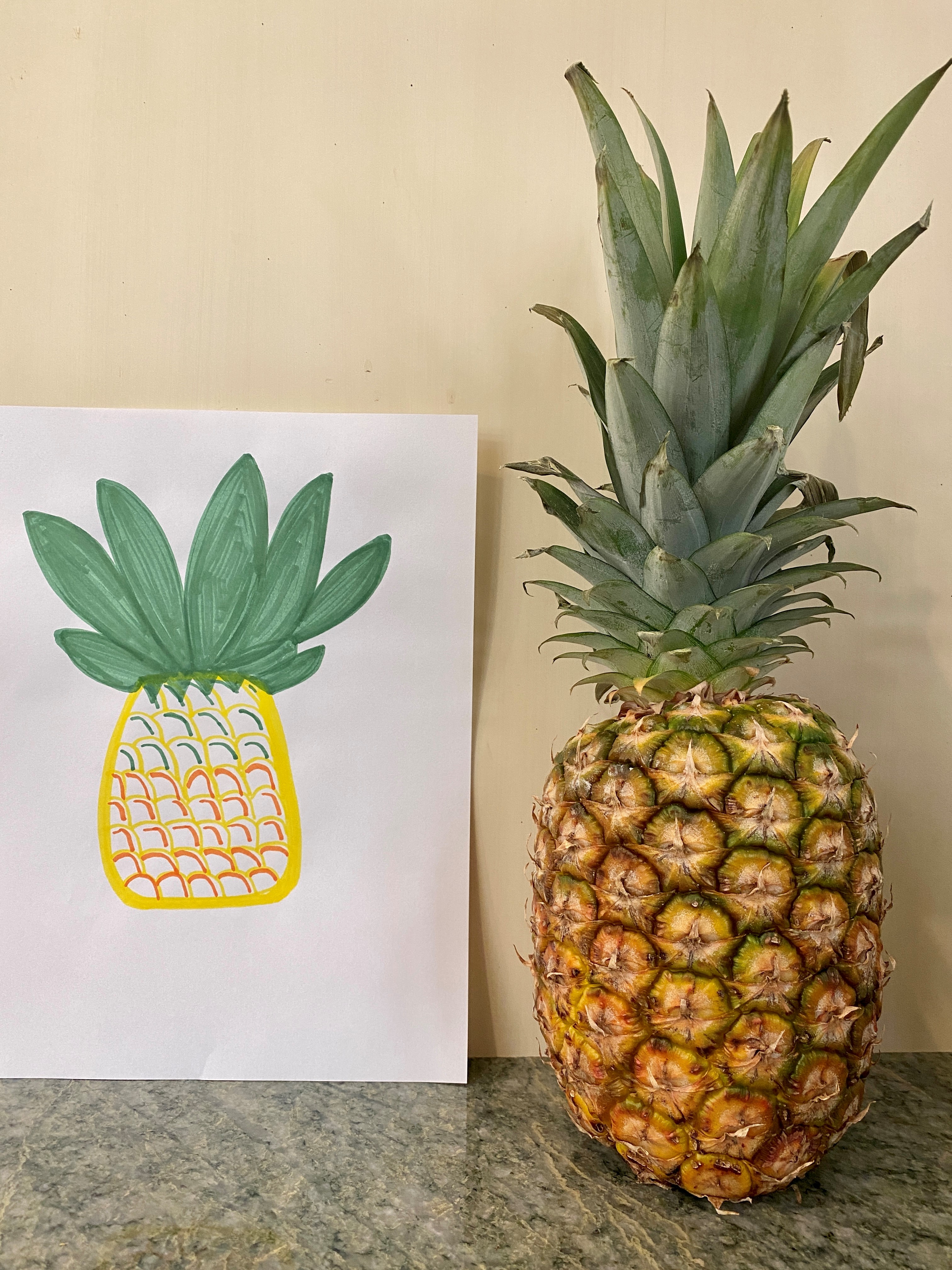 A hand-drawn image of a pineapple on the left and an actual pineapple on the right. 