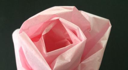 Pink tissue paper rose against a black background. 