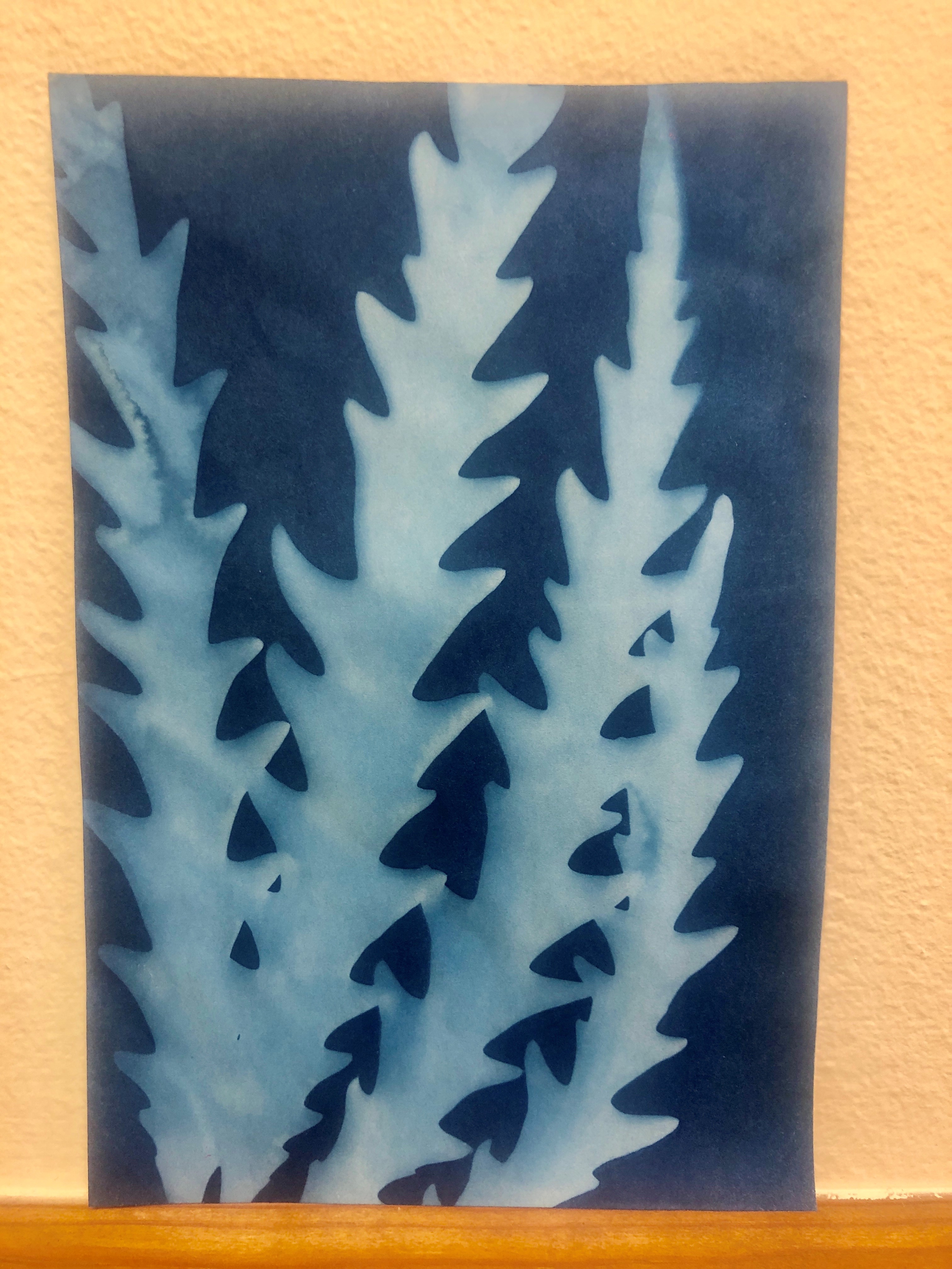 Deep blue paper with a light blue print of four leaves. 