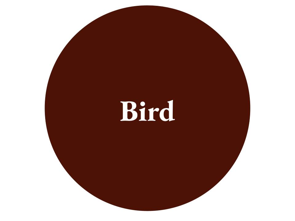 The text Bird inside a dark red circle. 