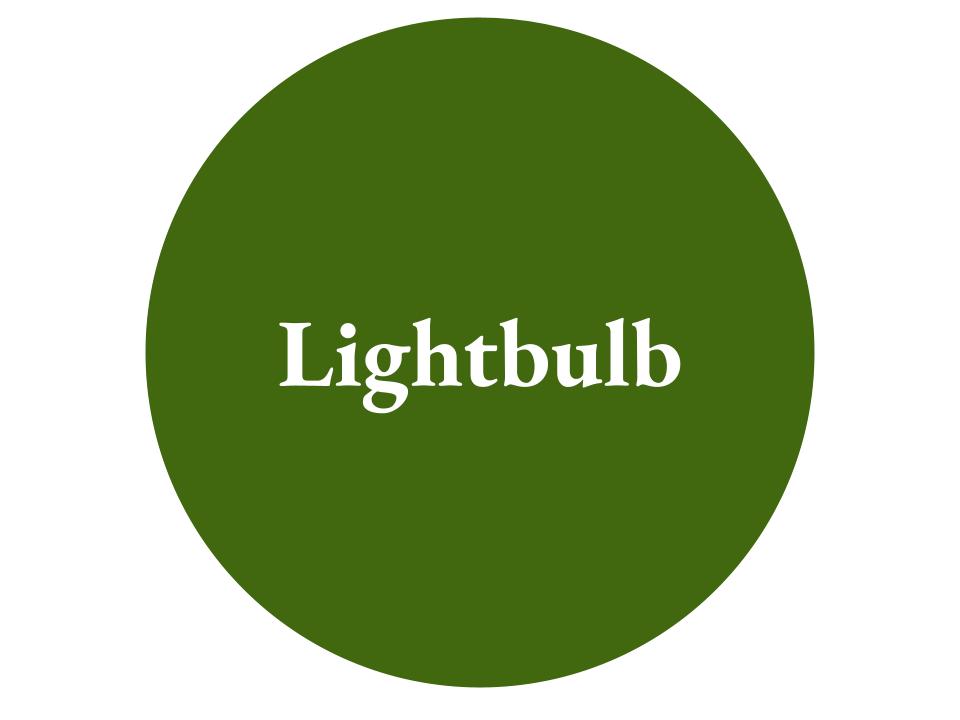 The text Light Bulb inside a dark green circle.