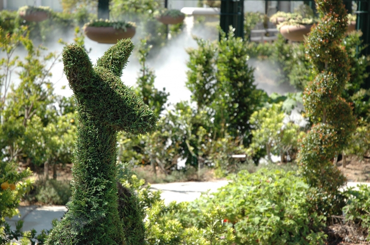 A leafy plant in a garden grows in the shape of an animal's head.