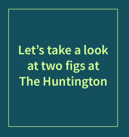 Teal rectangle with lime green outline and the text inside that says “Let’s take a look at two figs at The Huntington.