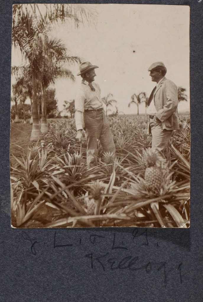 Two white men face each other in a field of pineapple plants. Manuscript text below the photograph reads: J.L. + L.J. Kellogg.