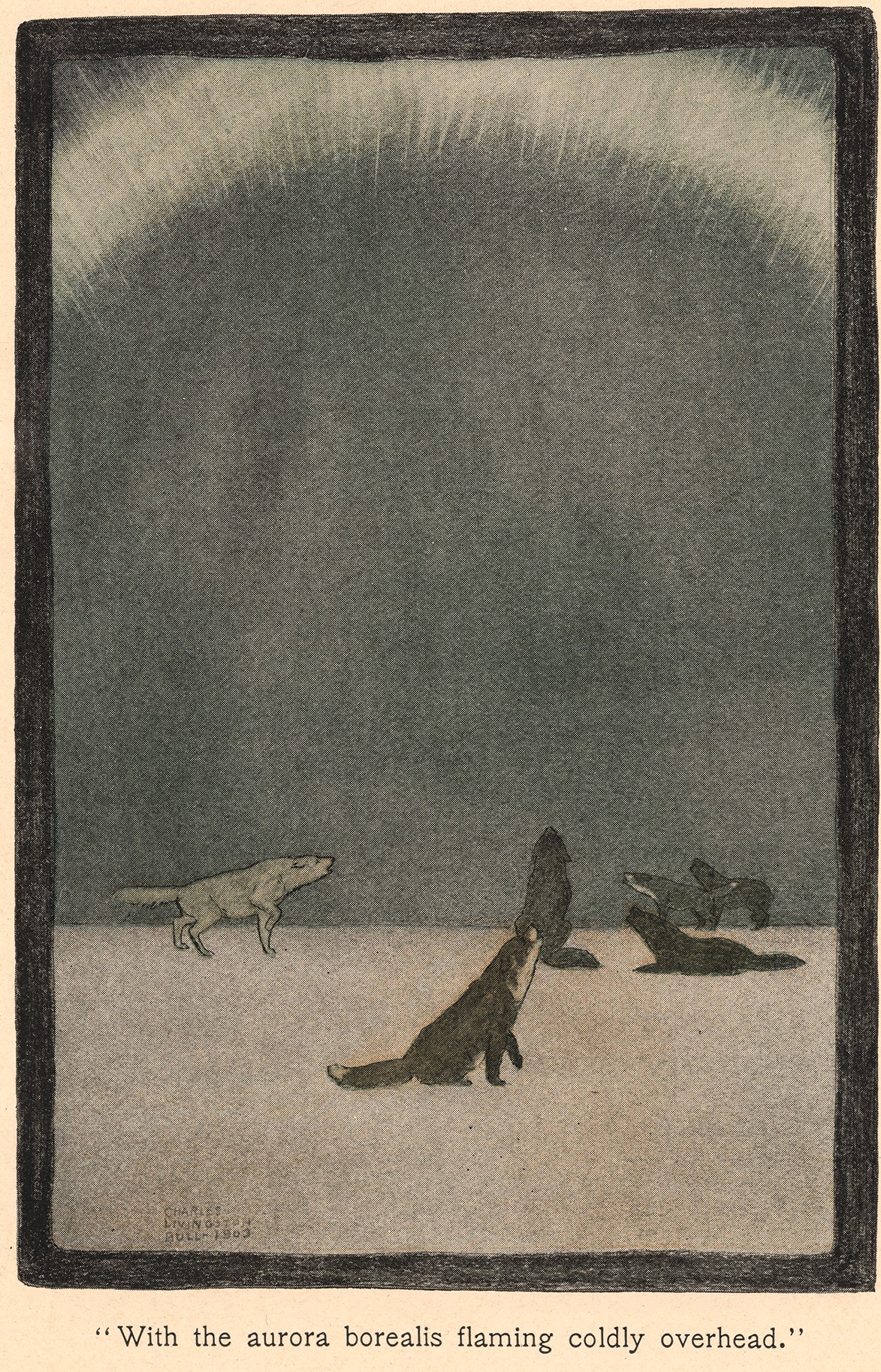 Printed illustration of six dogs howling. The dogs are on the snow and an arc of light is at the top of the image. The text below the image reads: "With the aurora borealis flaming coldly overhead."