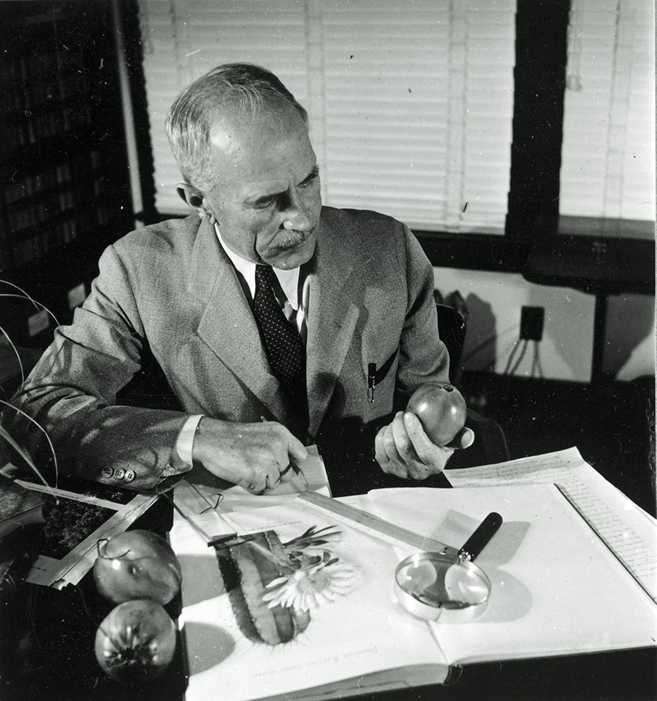 William Hertrich at his desk, ca. 1955. 