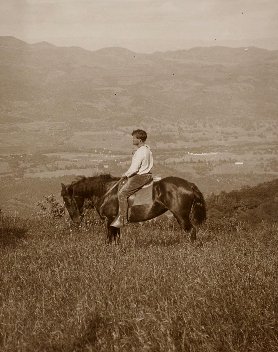 A man on horseback overlooks a large, open valley.