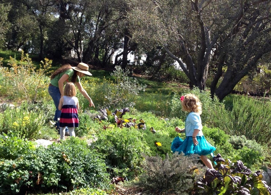 Two children walk among plants while an adult points at something nearby.