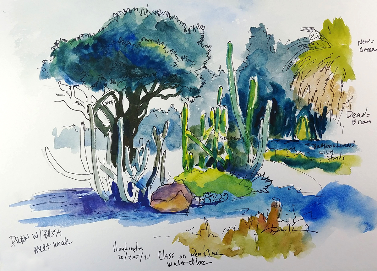 Cuña frotis Circulo Watercolor Series: Sketching the Gardens | The Huntington