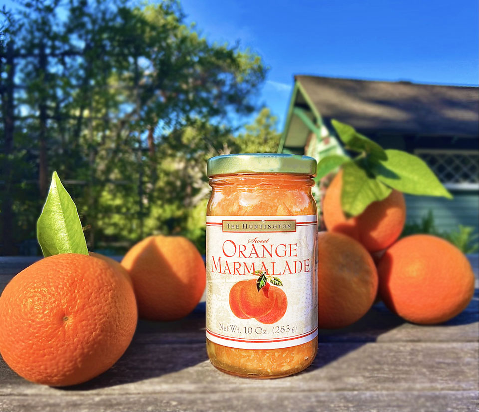 The Huntington’s sweet orange marmalade