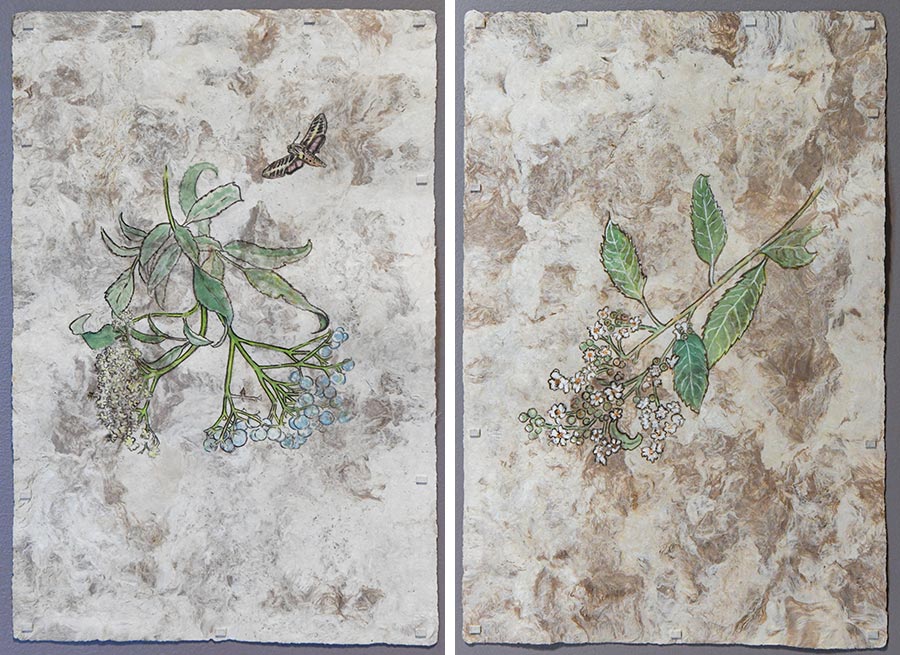 Two hand-processed watercolors of plants.