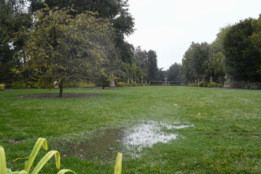 Large puddle in the North Vista lawn