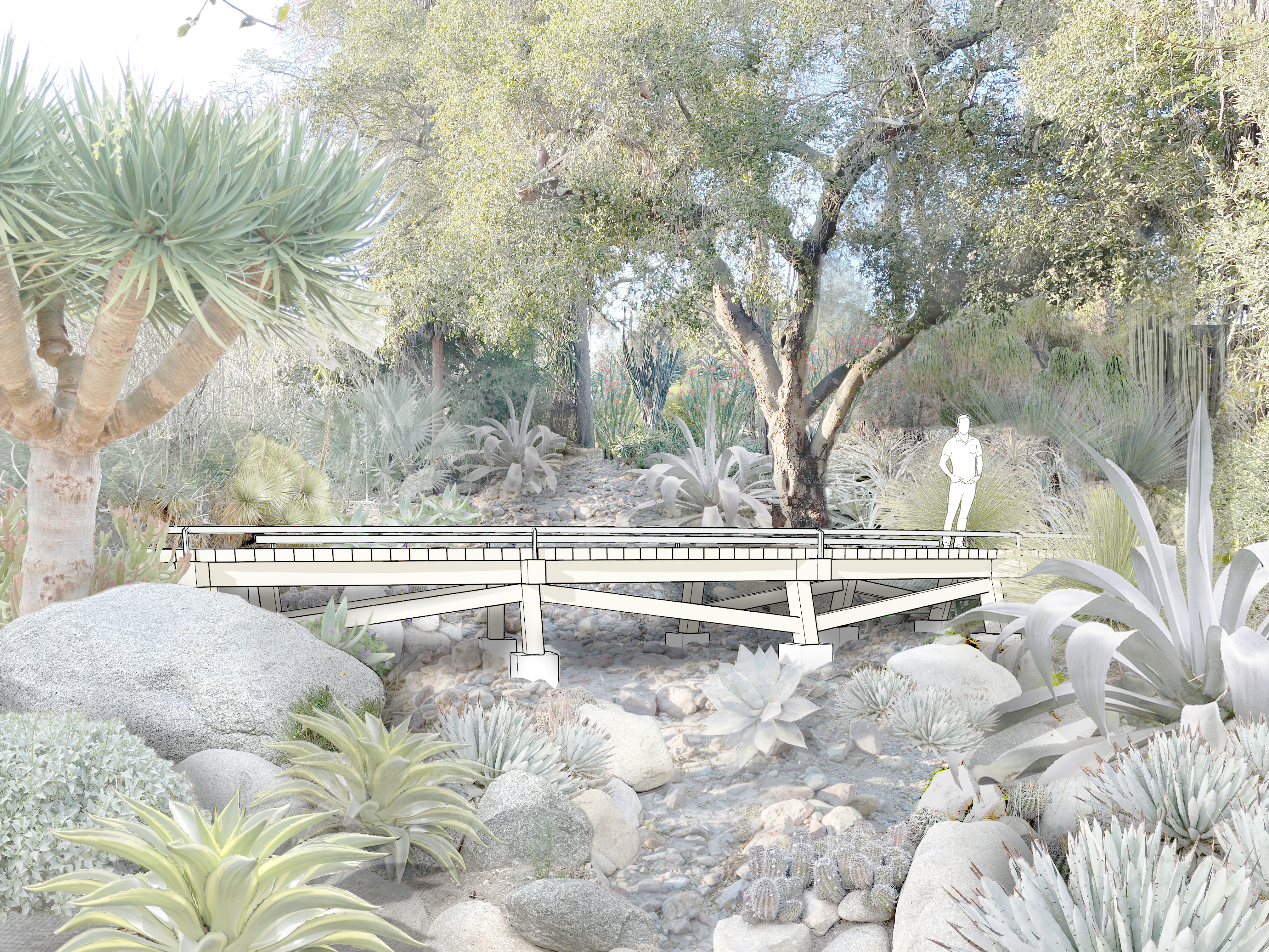 A concept illustration of the footbridge in the Desert Garden.