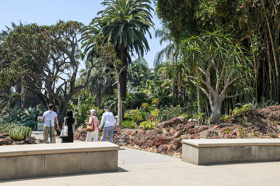 People walking on a concrete path surrounded by trees and rock landscapes.