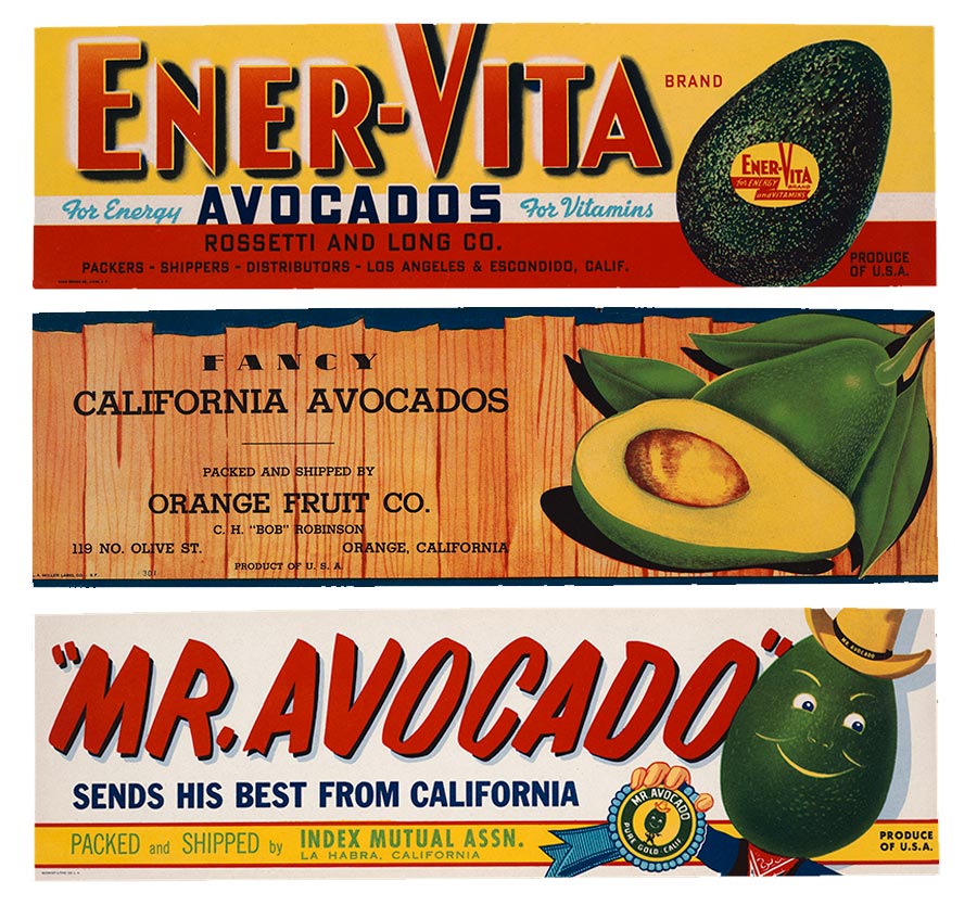 Avocado crate labels that say “Ener-Vita Avocados,” “Fancy California Avocados,” and “Mr. Avocado.”