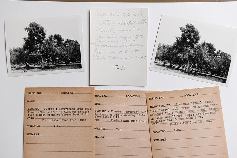 Typed and handwritten notes with two black-and-white photographs.