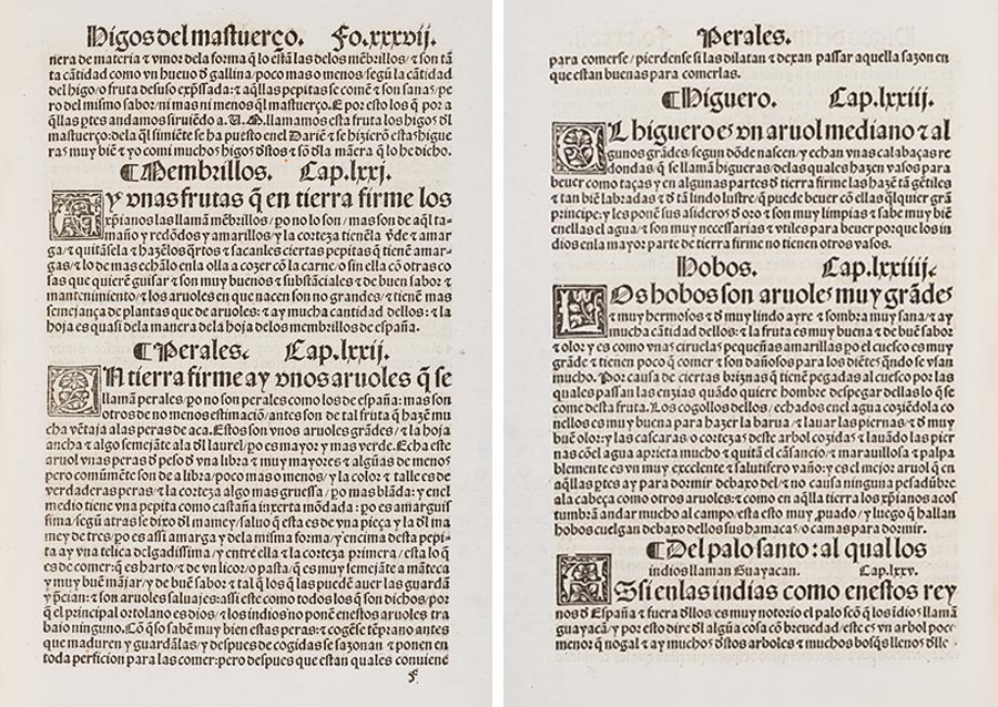 Two pages from a 16th-century book.