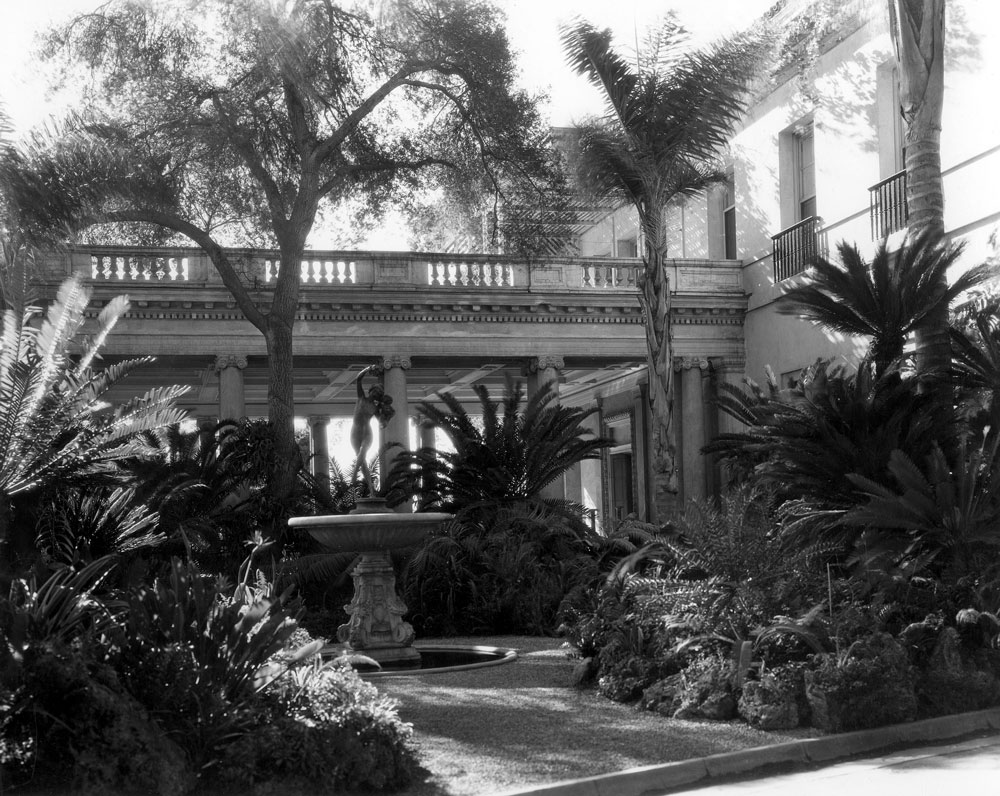 View of the cycads near the entrance of the Huntington mansion.