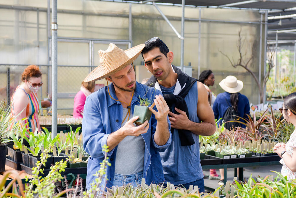 Two people stand in a plant nursery, looking at a potted plant.