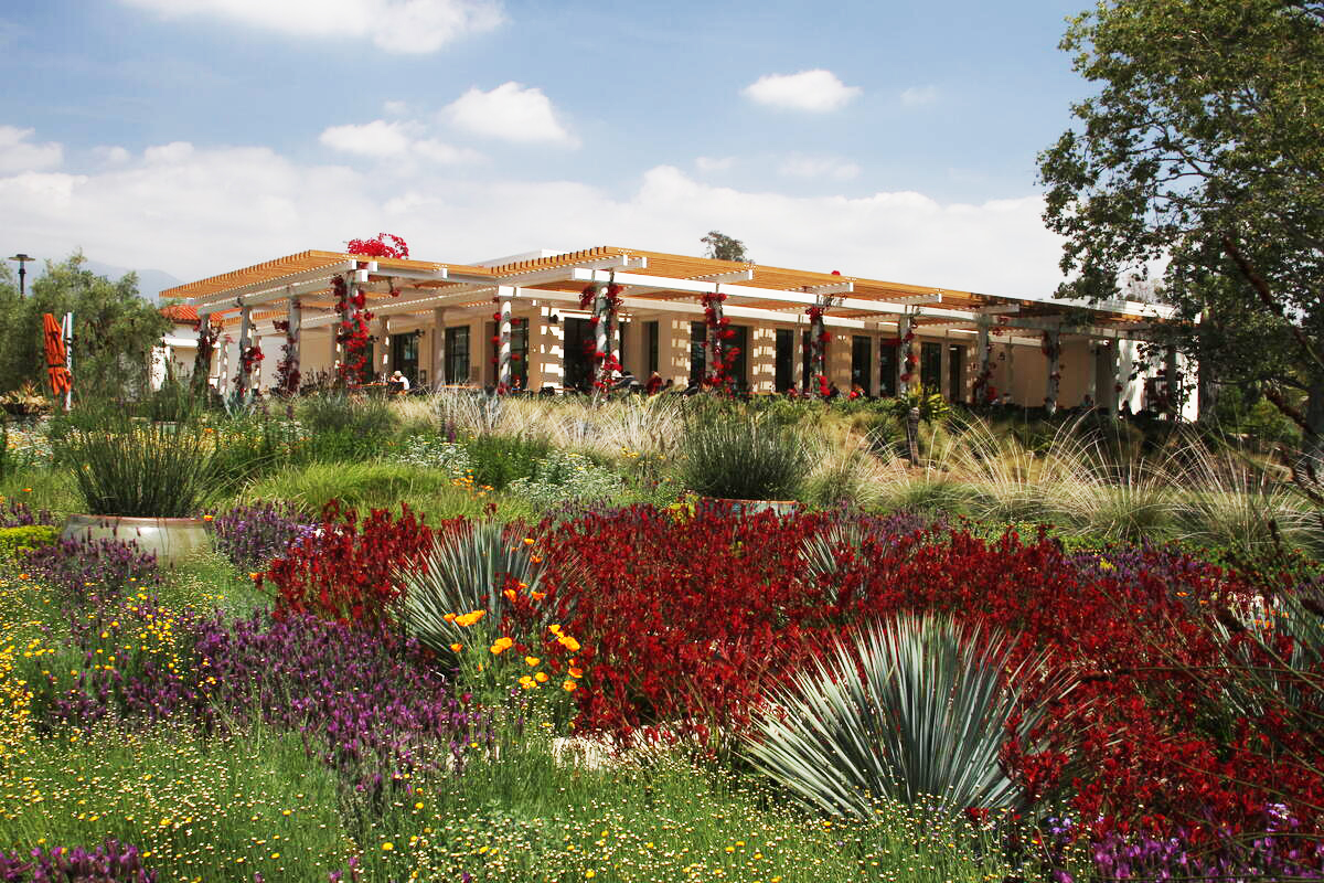 A colorful garden with drought tolerant plants and a building with a covered patio.