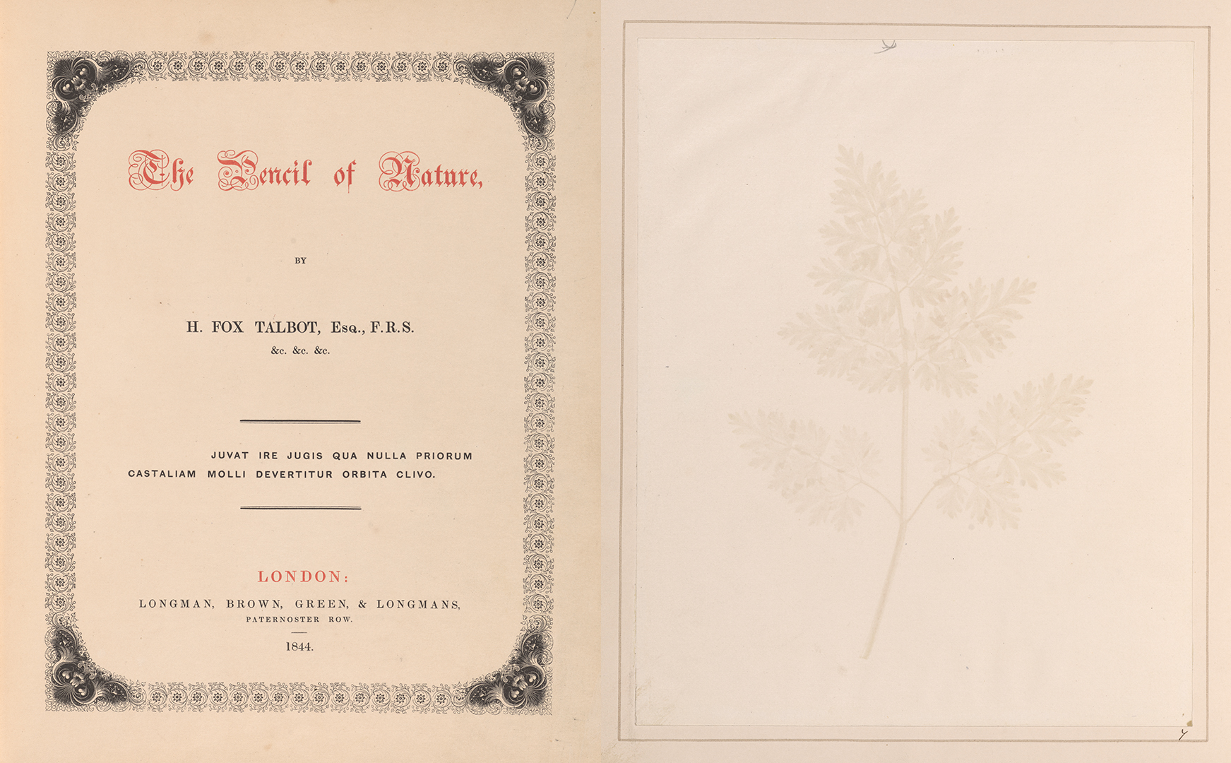 Two pages of a book: a title page (left) with red text that says, “The Pencil of Nature,” and a leaf print (right).